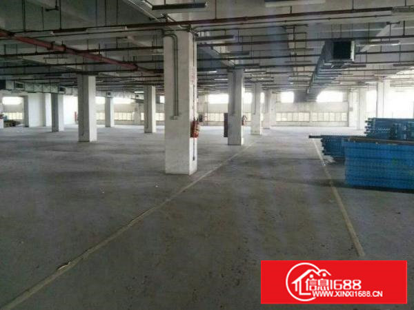 大坪靠深圳四黎路边独院带消防喷淋出租可分租