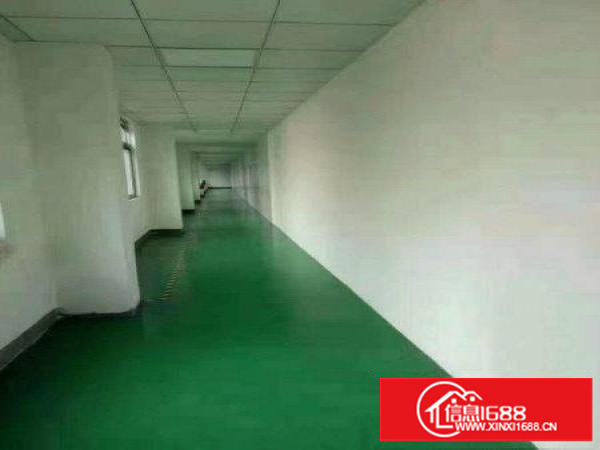 观澜福民厂房2000平米出租