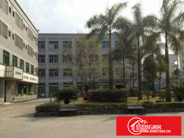 凤岗新空原房东400平消防齐全现成办公室