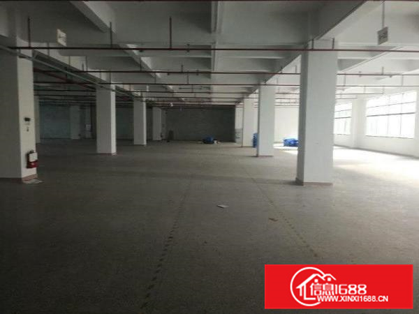 惠阳新圩原房东带红本独栋标准厂房4400出租