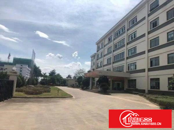 丹竹头东部假日广场附近160平280平500平厂房招租