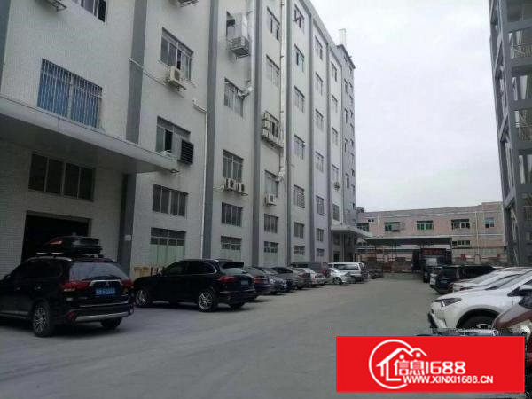 凤岗6米高全新一楼厂房2400平方可分租