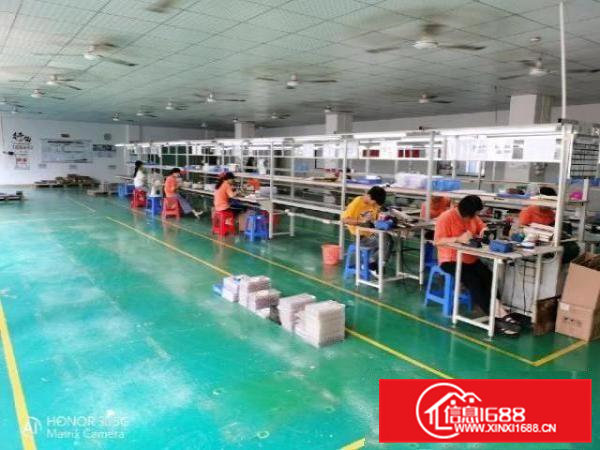 金凤凰带装修楼上1200平出租