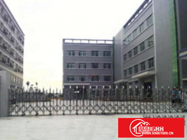 高埗标准一楼厂房500-5000平米低价招租