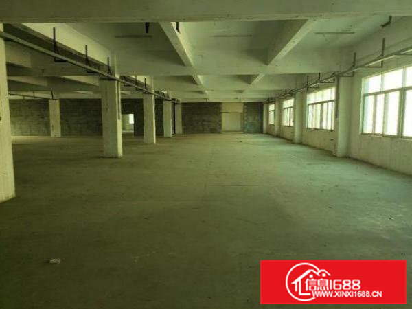 凤岗原房东直租8000平全新独院