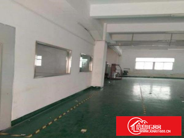 常平还珠沥工业区一楼1200平米整租可分租
