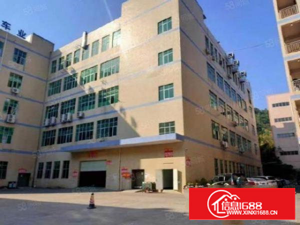 西乡固戍，新出原房东2200平带装修出租