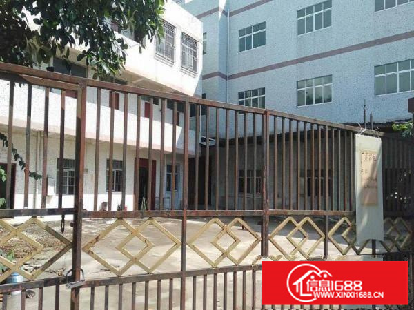 秋长白石标准小独院厂房出租2600平方