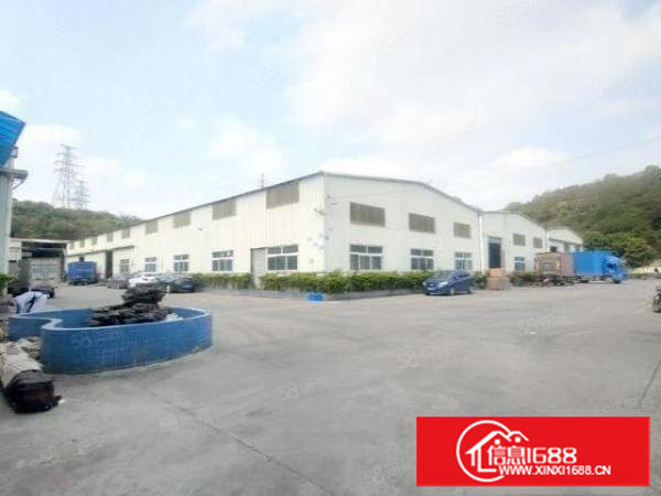 塘厦振兴围5500平独院钢构厂房出租独栋1100平原房东