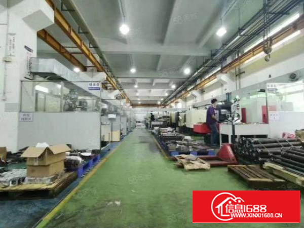 凤岗近深圳新出原房东独院6000平方带装修急租