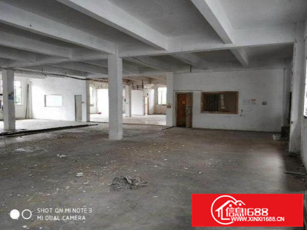 松岗洪桥头2300平单层大厂房出租，有红本，公摊少