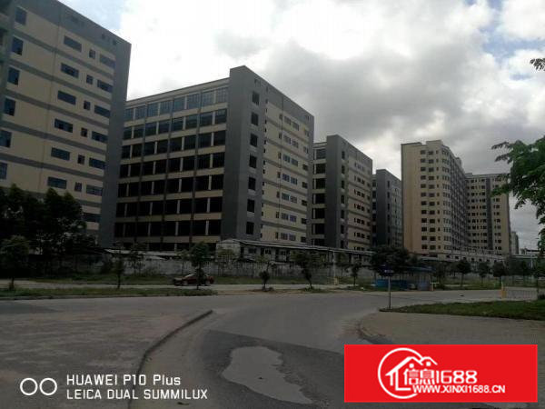 东莞企石镇标准一楼8米可做喷油4000平方可分租厂房出租