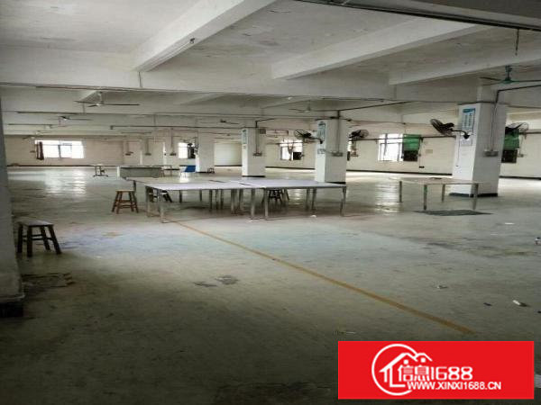 新出6500平方独院厂房出租