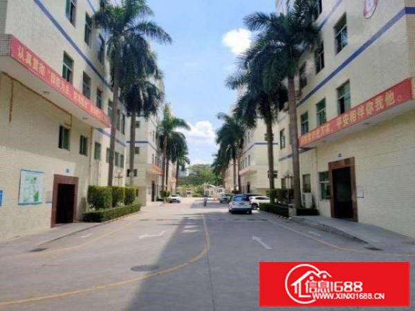 龙华大浪工业园仓库厂房出租精装修1000平可分