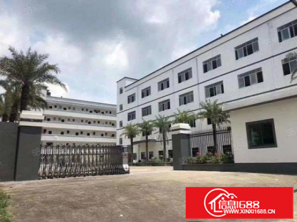 龙岗同乐原房东独院厂房5000平出租，可分租