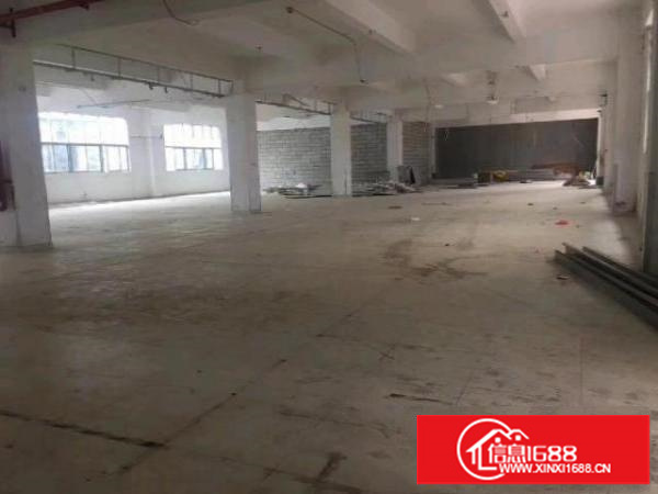 真实:樟阁1楼厂房330平租28一平