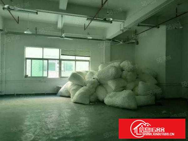 电子电池客户的福音清溪谢坑新出二楼标准厂房2021平方米