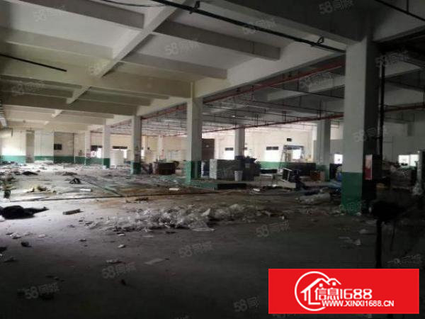 （电池厂房）清溪镇独院厂房4层10000平出租可分租