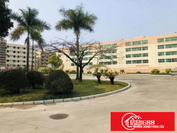 坂田楼上空出500平方出租,标准厂房招租合租