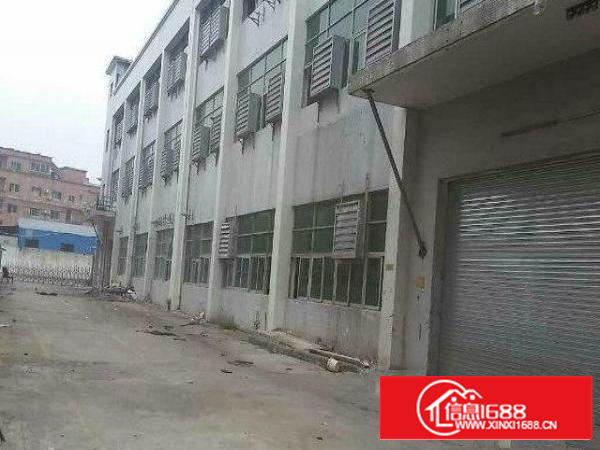 高埗工业区厂房一楼1000平方现成办公室精装修