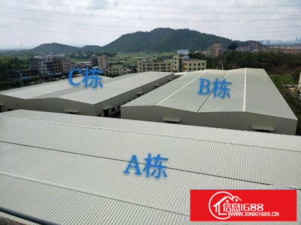 常平九江水产业园大型厂房火热招租