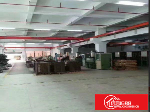 横沥立交附近2500平米一层全新厂房出租