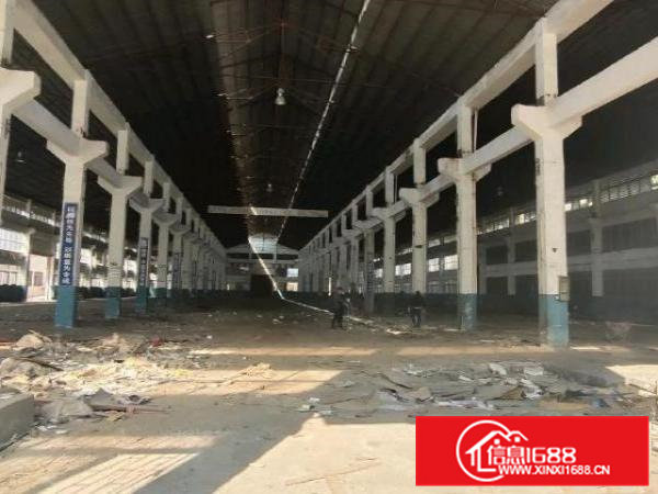 大岭山独院2万平可分租滴水12米空地5000平可办环评