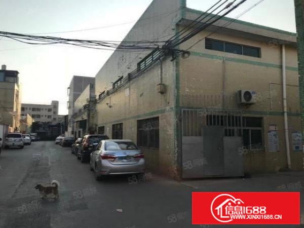 大岭山镇大塘新出500平单一层钢构厂房仓库出租，带三间宿舍