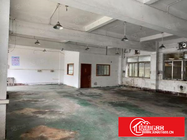 非中介，石碣四甲四兴路独院厂房