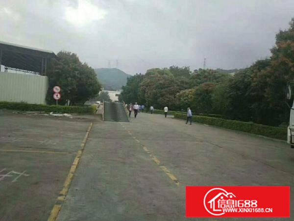 惠州市新圩全新物流仓储产业园可整租分租空地大