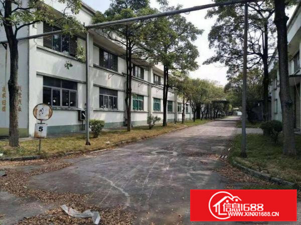 大沙新出1000平独栋独院带环评带装修独院厂房出租