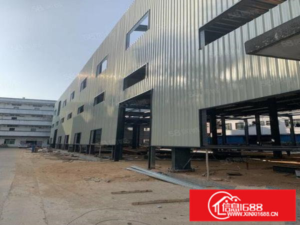 桥头镇原房东独院单一层厂房,空地面积超大,带有精装豪华办公室