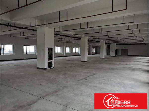 五联村新出2500平原房东独门独院厂房出租电商仓库分租