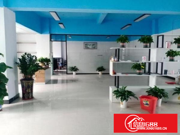 凤岗近平湖二楼200平适合做电商办公贸易豪华精装修