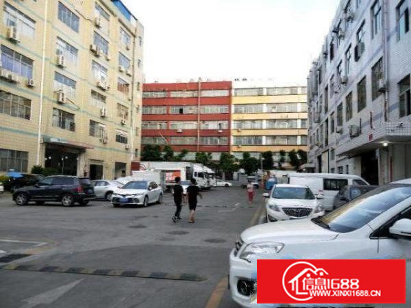 原房东独院厂房6000平可整可分租