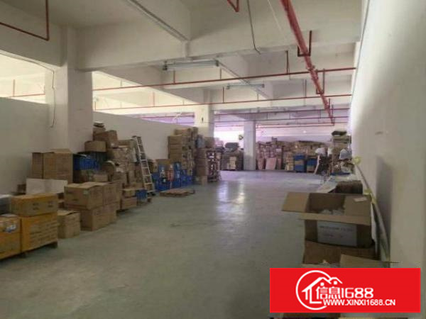 出租光明区公明办公室仓库精装修