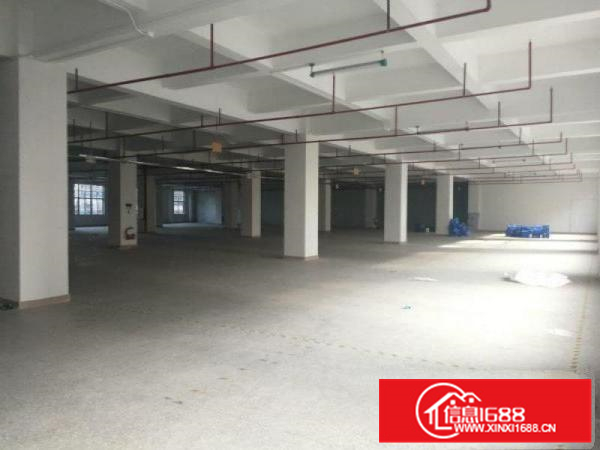 惠阳新圩原房东带红本独栋标准厂房4400出租