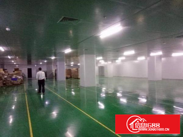 西乡无尘车间厂房整层2300平米对外招租