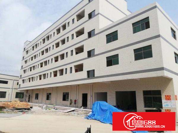 惠东白花全新独栋钢构厂房4500靠山一公里无居民