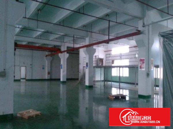 共和一楼1350平方带装修厂房招租