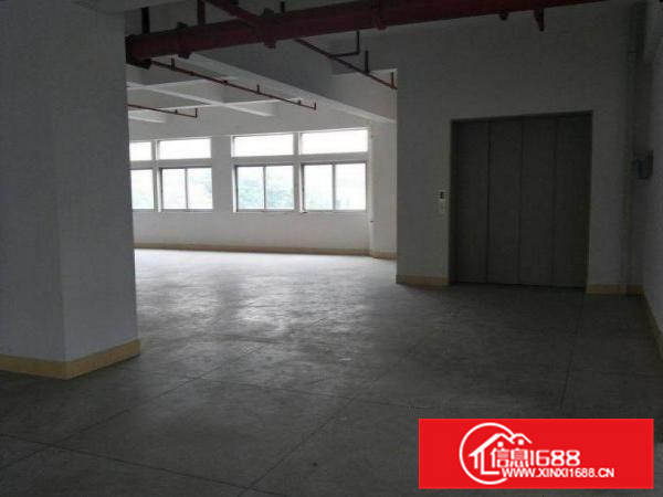 惠阳新墟全新1300平标准楼房出租可分租，水电办公室齐全