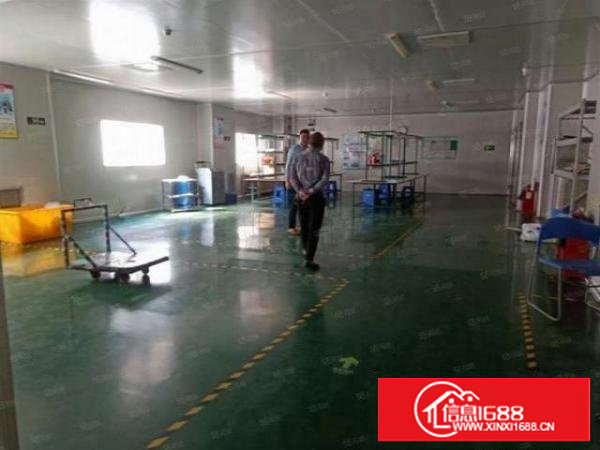 塘厦石潭埔社区楼上精装修800平厂房原房东出租