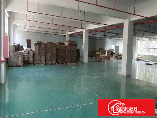 横岗安良独院带装修1280平米厂房出租