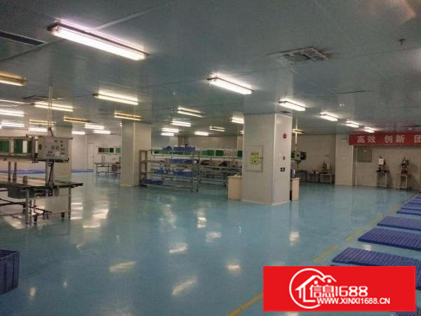 凤岗雁田塑胶电子无尘车间出租7000平方大小可分租