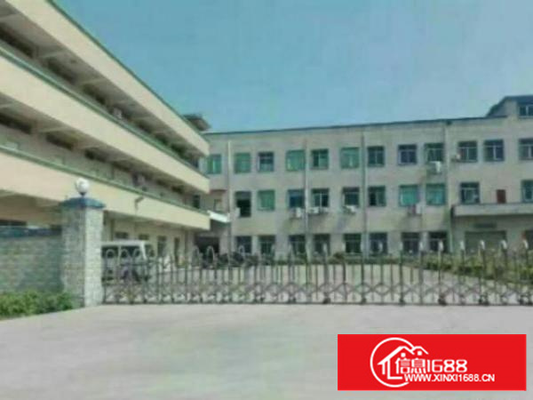 高埗独院标准一楼2000方厂房招租价格便宜交通方便