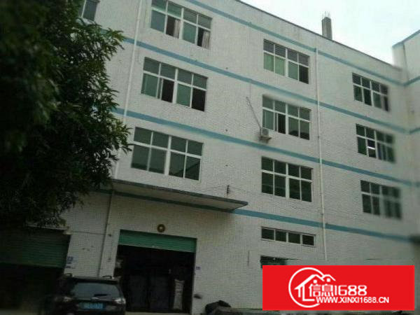 坑梓龙田新出一楼标准厂房800平方，低价出租