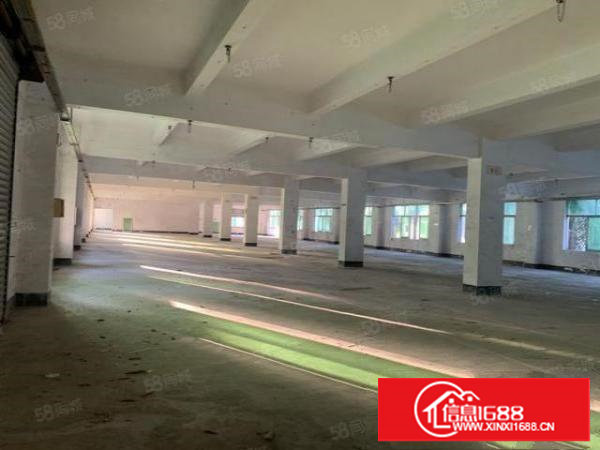 大坪原房东厂房2层共3000平厂房出租