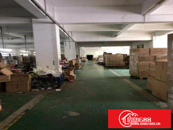 石井万里红超市旁边原房东一楼红本厂房450平招租，价格22元