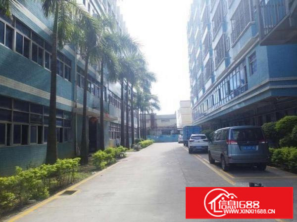 (优惠价)17.5元出租龙岗同乐原房东一楼1800平可分租