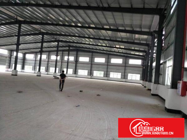 独门独院单一层厂房出租共10000方，